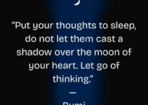 stop thinking and sleep quote by Rumi